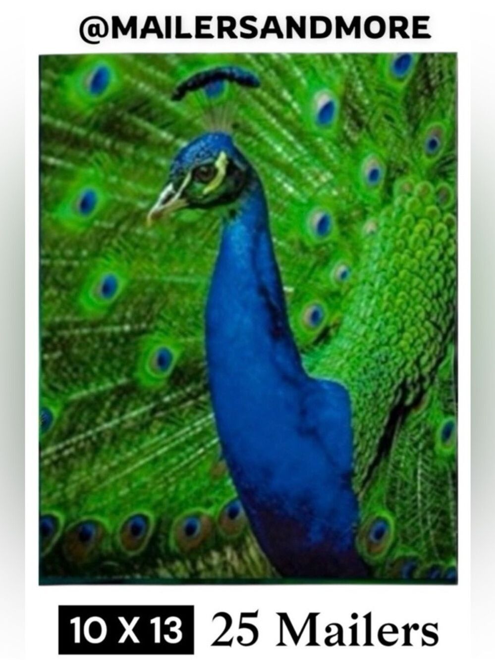 25 10X13 Poly Mailers Royal Peacock PRICE IS FIRM - Picture 2 of 13